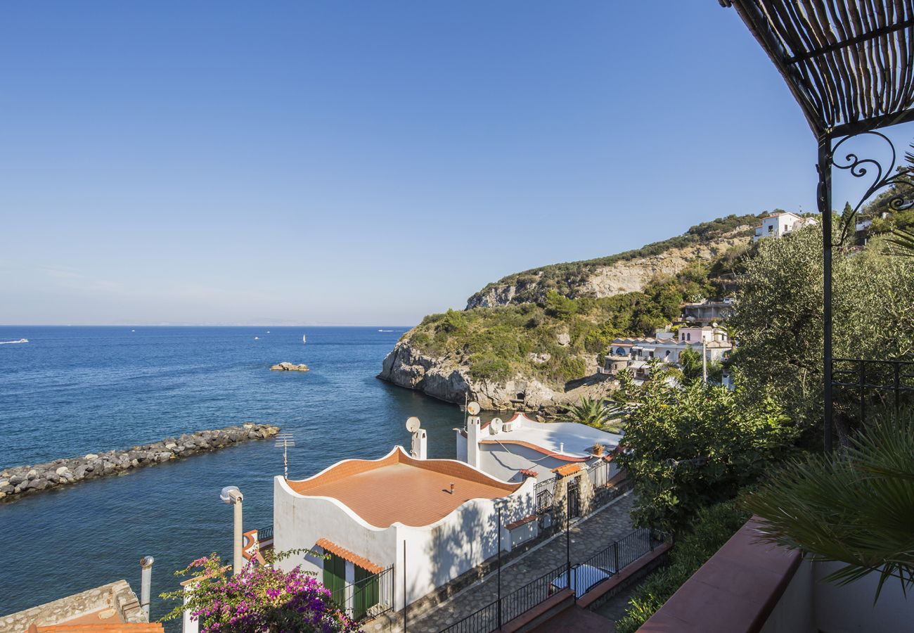 Villa in Massa Lubrense - AMORE RENTALS - Villa Ortensia with Private Pool, Sea View, Near the Sea
