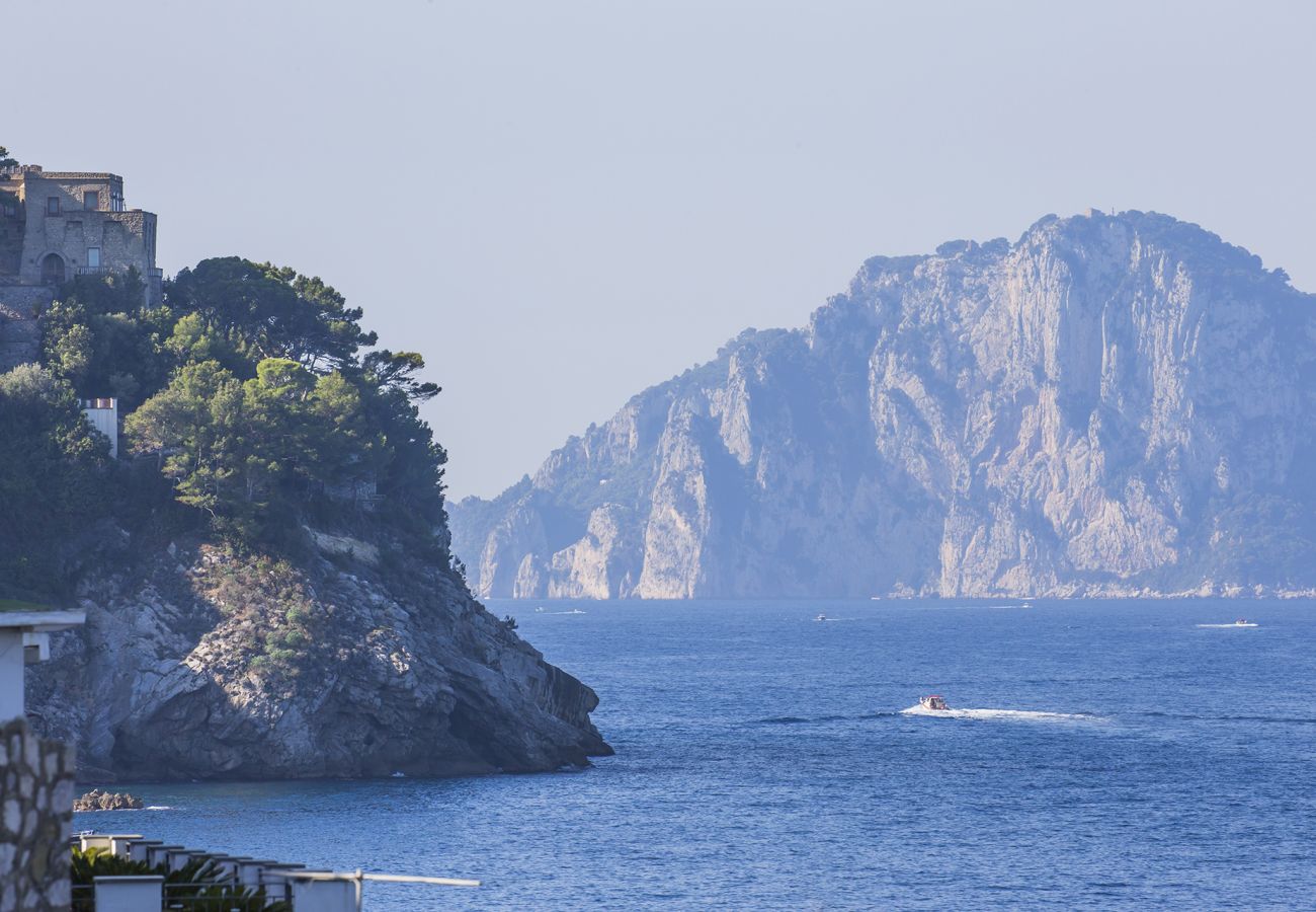 Villa in Massa Lubrense - AMORE RENTALS - Villa Ortensia with Private Pool, Sea View, Near the Sea