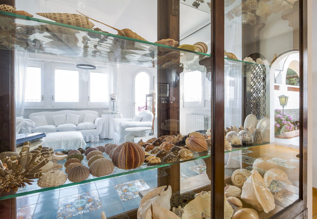 Villa in Massa Lubrense - AMORE RENTALS - Villa Ortensia with Private Pool, Sea View, Near the Sea