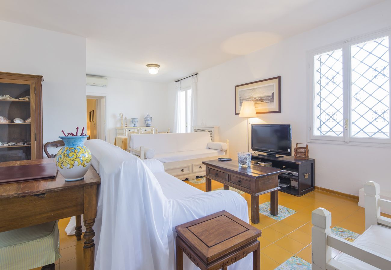 Villa in Massa Lubrense - AMORE RENTALS - Villa Ortensia with Private Pool, Sea View, Near the Sea