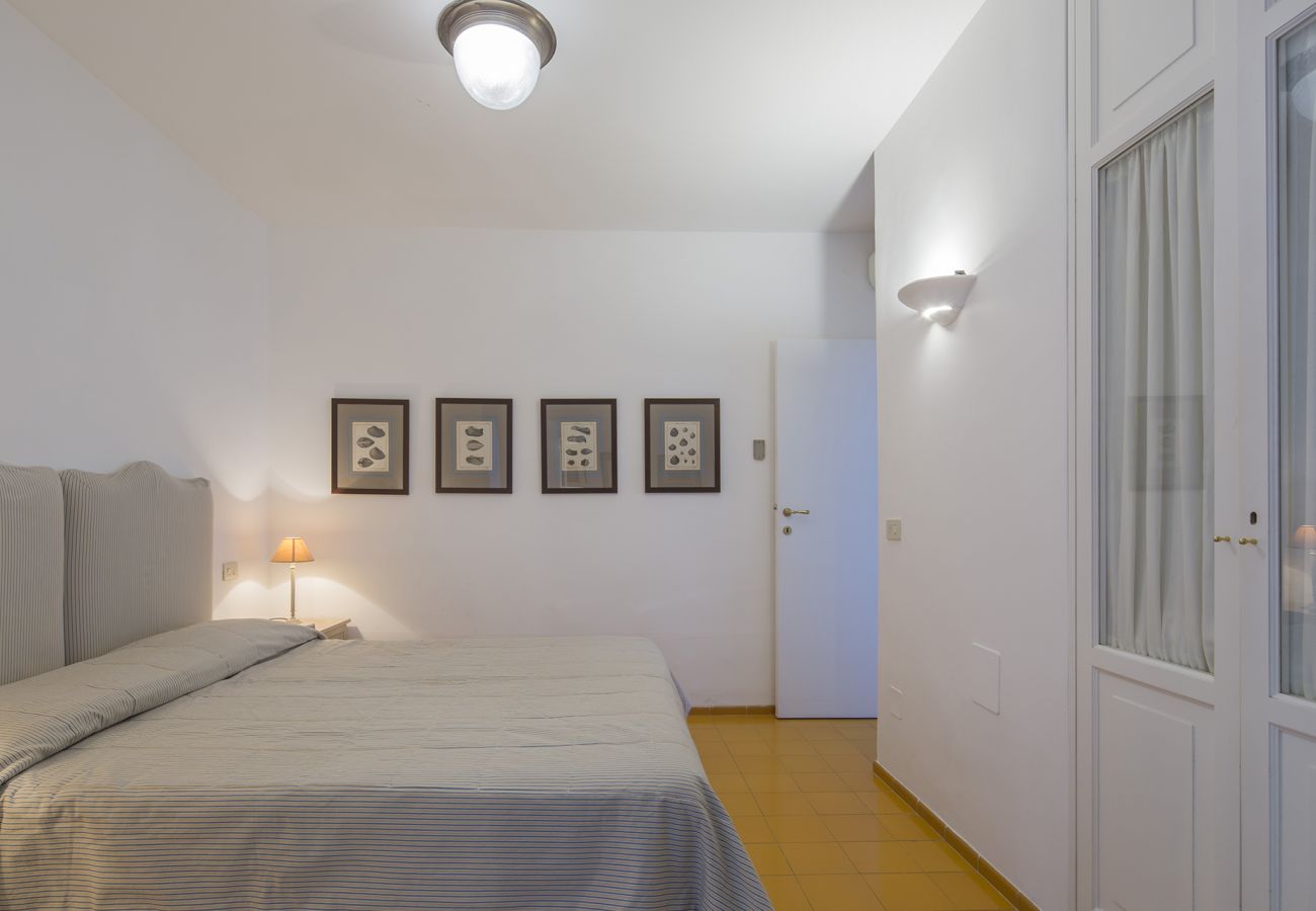 Villa in Massa Lubrense - AMORE RENTALS - Villa Ortensia with Private Pool, Sea View, Near the Sea