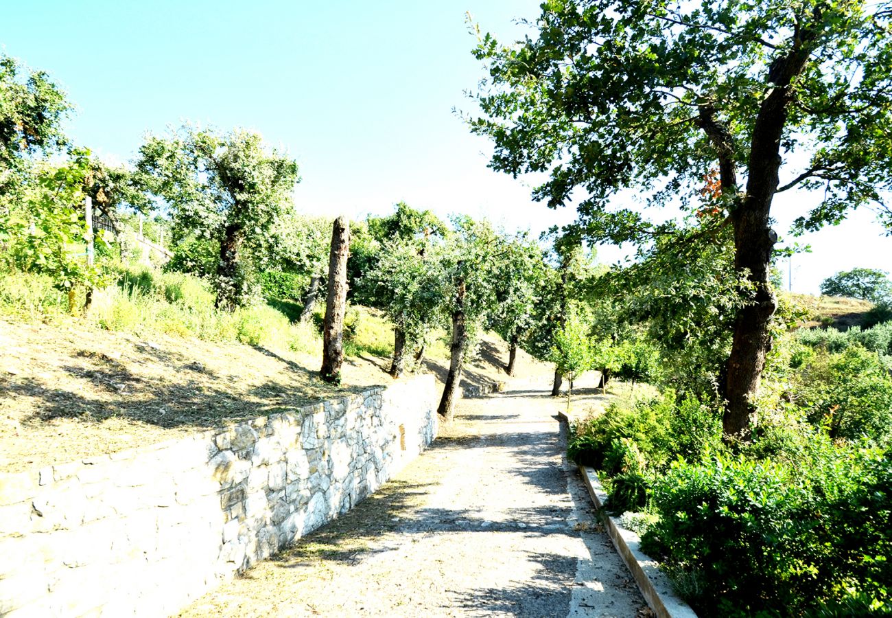 Villa in Sant´Agata sui Due Golfi - AMORE RENTALS - Casa Nando with private Pool, Garden, Terrace and Sea View
