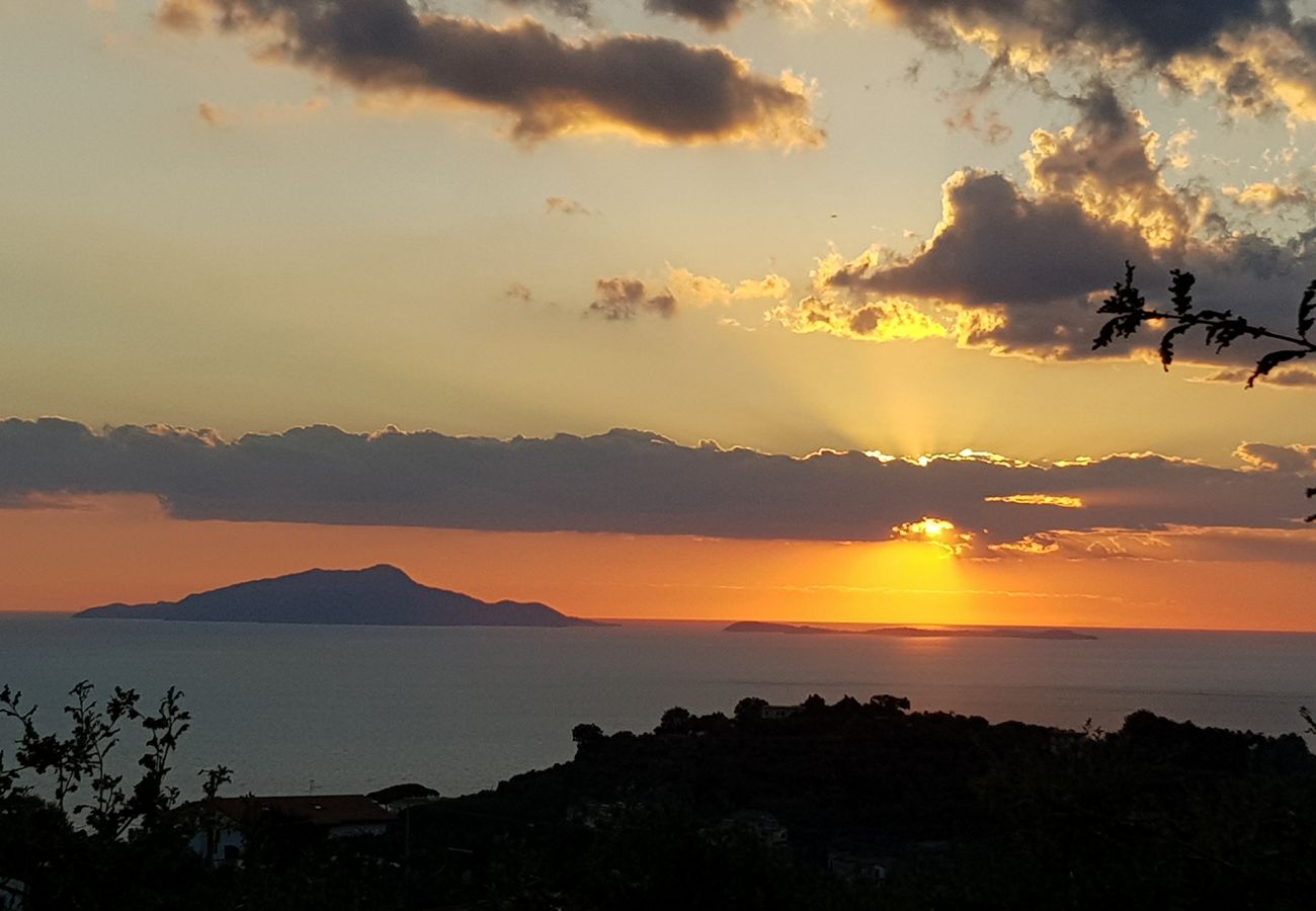 Villa in Sant´Agata sui Due Golfi - AMORE RENTALS - Casa Nando with private Pool, Garden, Terrace and Sea View