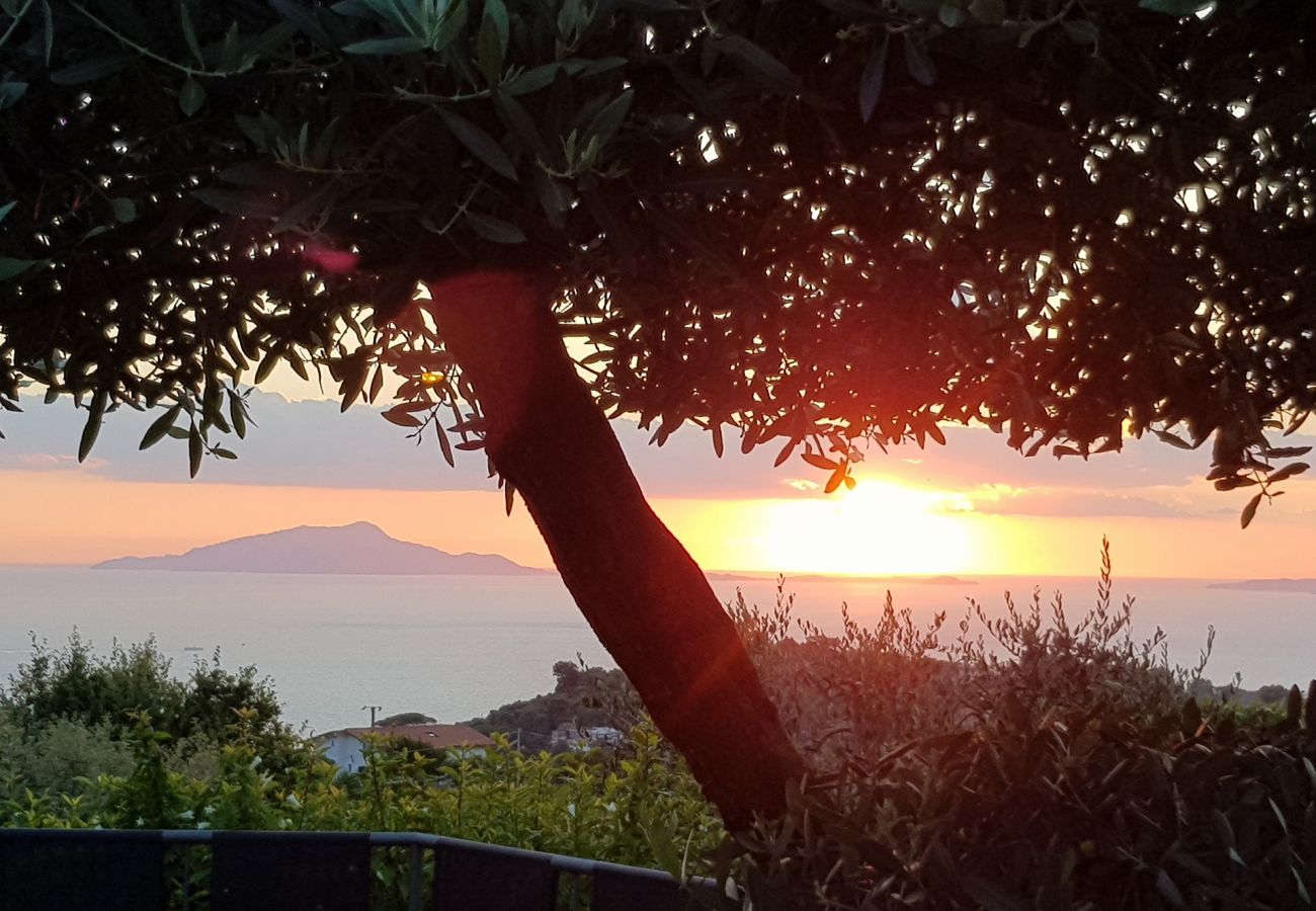 Villa in Sant´Agata sui Due Golfi - AMORE RENTALS - Casa Nando with private Pool, Garden, Terrace and Sea View