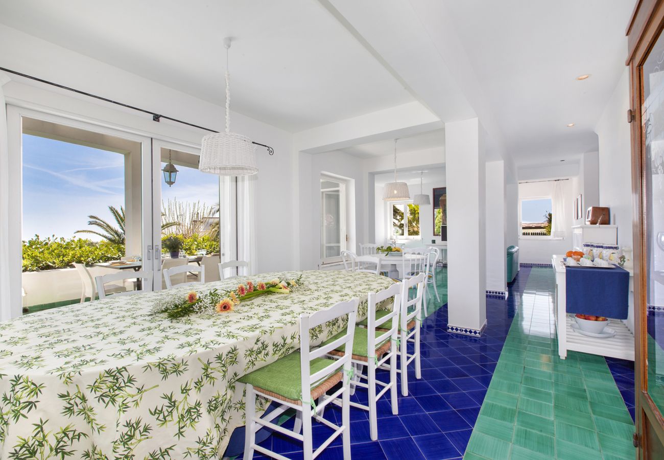 Villa in Massa Lubrense - AMORE RENTALS - Villa Claudia with private Pool, Sea View, Jacuzzi, Garden and Parking