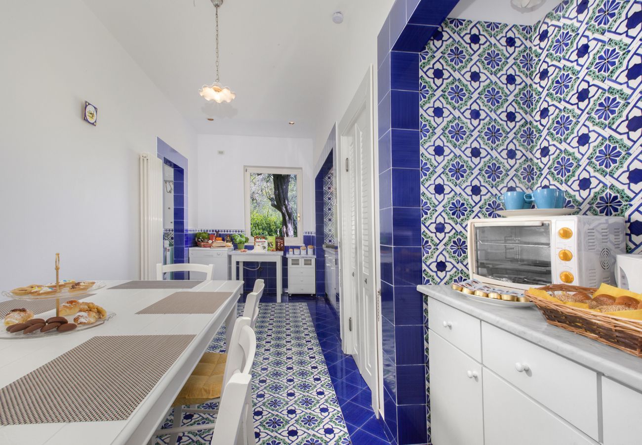 Villa in Massa Lubrense - AMORE RENTALS - Villa Claudia with private Pool, Sea View, Jacuzzi, Garden and Parking
