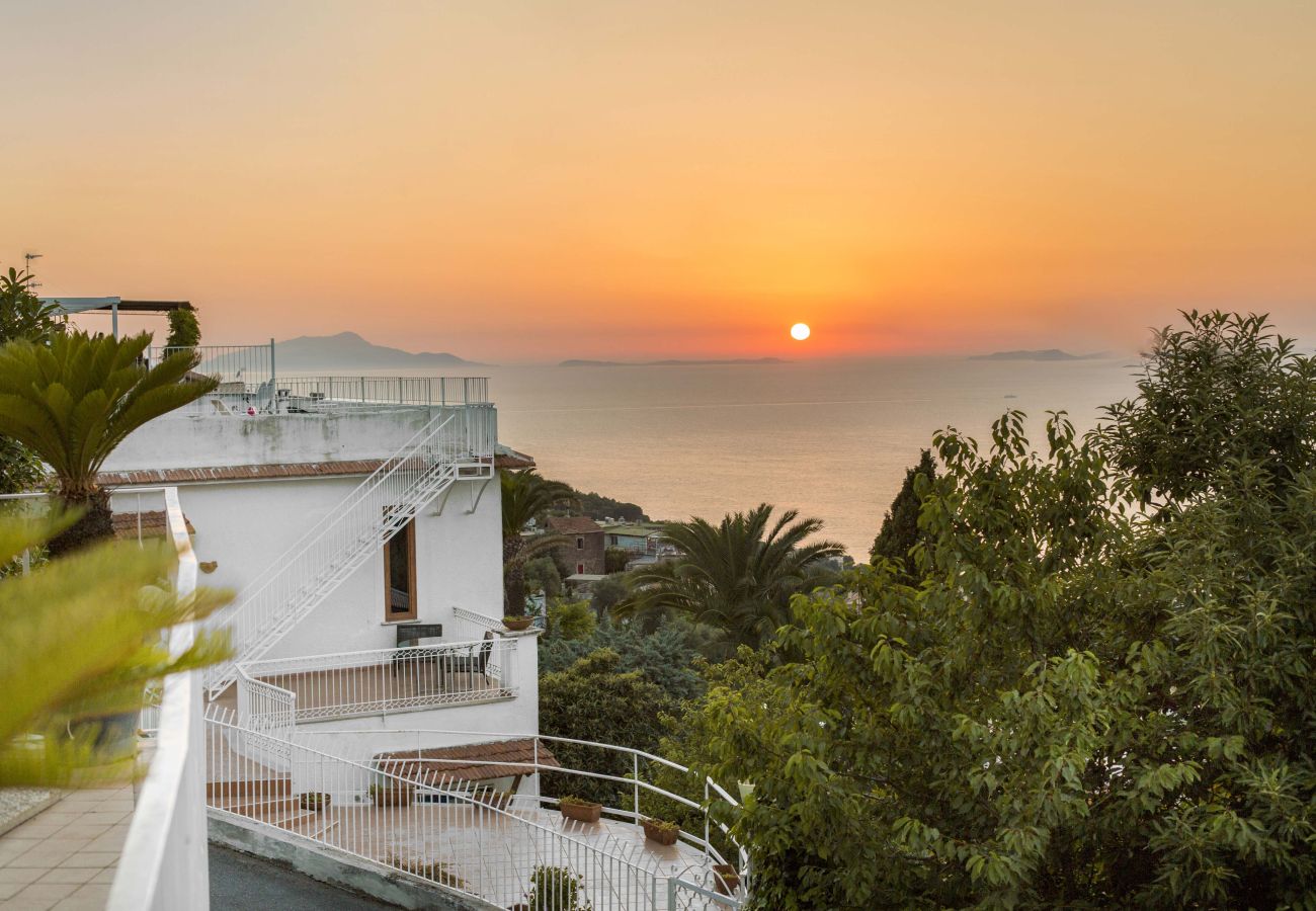 House in Sorrento - AMORE RENTALS - Casa Augusta A with Mini Pool, Sea View, Parking and Private Terraces