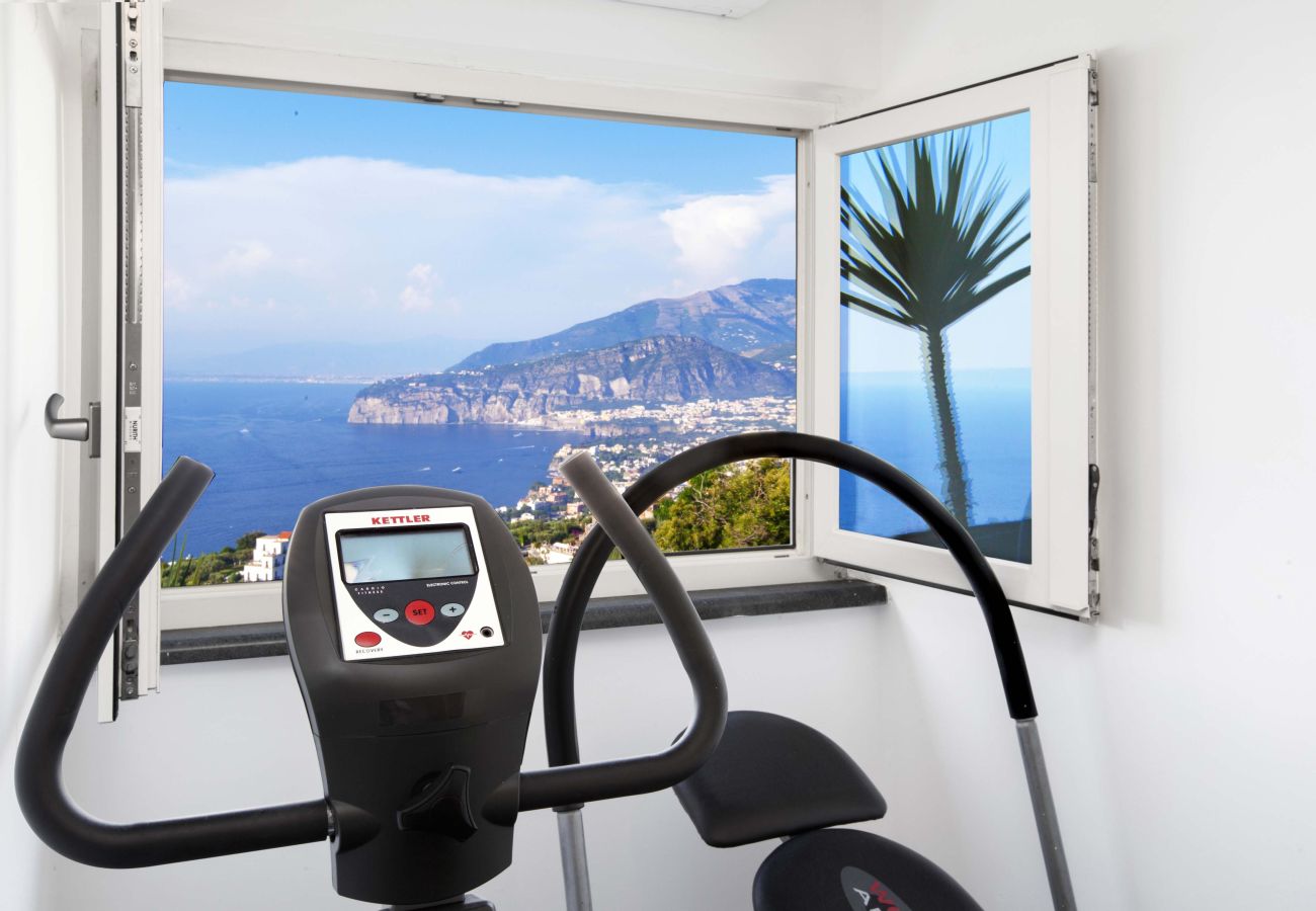 House in Sorrento - AMORE RENTALS - Casa Augusta A with Mini Pool, Sea View, Parking and Private Terraces