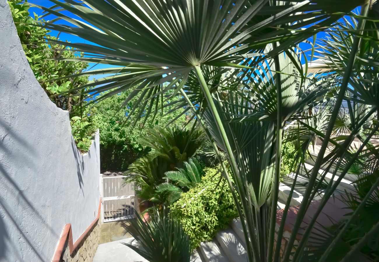 House in Sorrento - AMORE RENTALS - Casa Augusta A with Mini Pool, Sea View, Parking and Private Terraces