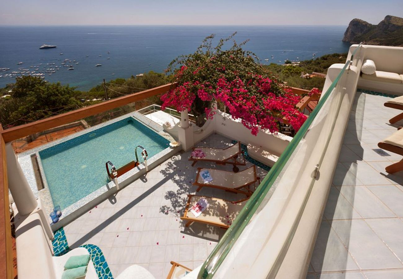 Villa in Nerano - AMORE RENTALS - Villa Ariadne with Dazzling Sea View, Jacuzzi, Pool and Breakfast