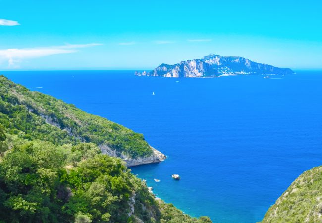 Villa in Termini - AMORE RENTALS - Villa Bacco with Private Swimming Pool, Sea View, Parking, Romantic Villa in Termini - AMORE RENTALS - Villa Bacco with Private Swimming Pool, Sea View, Parking, Romantic