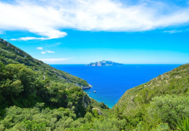 Villa in Termini - AMORE RENTALS - Villa Bacco with Private Swimming Pool, Sea View, Parking, Romantic Villa in Termini - AMORE RENTALS - Villa Bacco with Private Swimming Pool, Sea View, Parking, Romantic