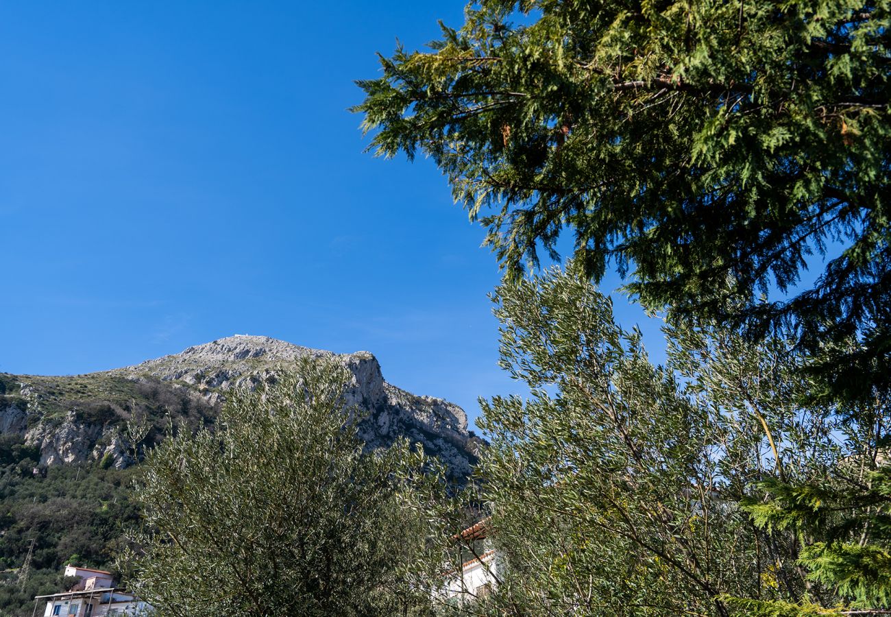 Villa in Nerano - AMORE RENTALS -Villa Gea with Sea View and Parking near the Beach