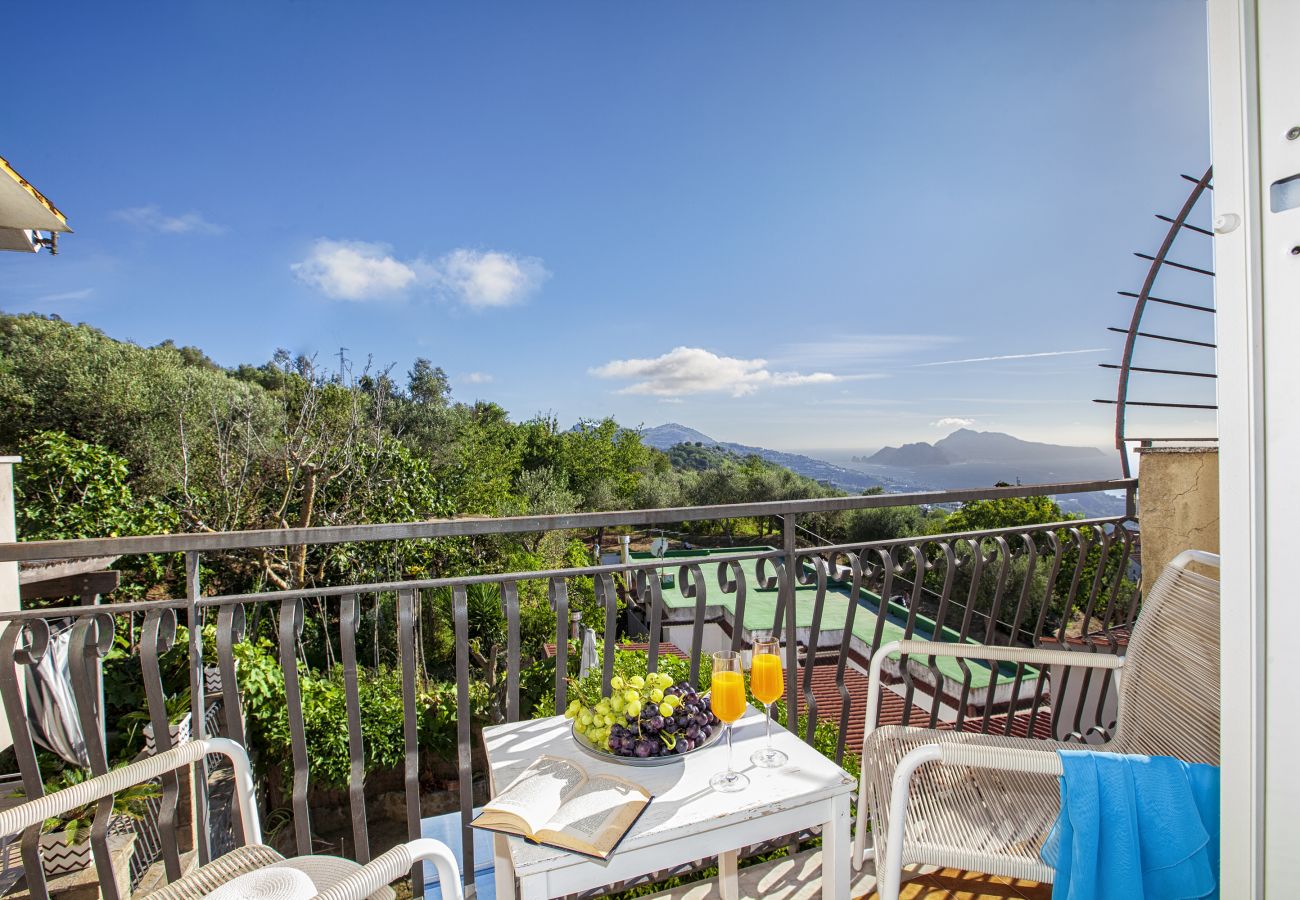 Villa in Massa Lubrense - AMORE RENTALS -Villa Felice with private pool, sea view in a quiet area, Massa Lubrense