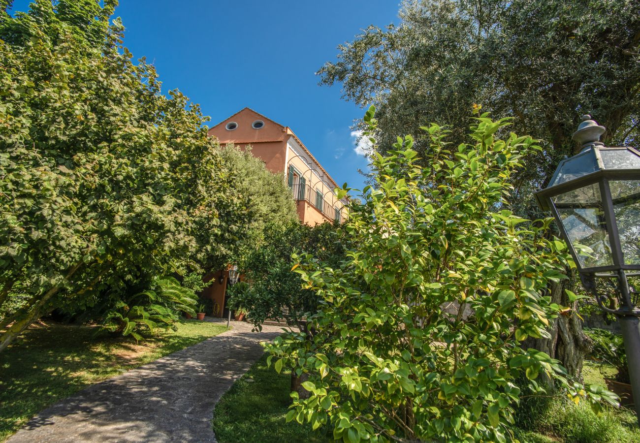 Villa in Massa Lubrense - AMORE RENTALS - Beautiful Historic Villa Lucia with Private Pool, Sea View and Garden, Sorrento Coast