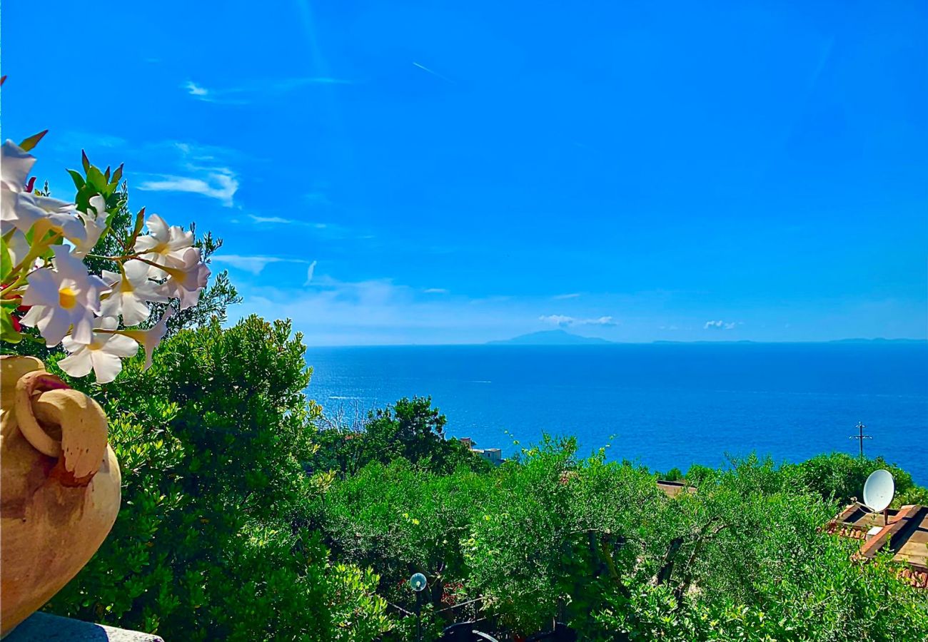 House in Massa Lubrense - AMORE RENTALS - Casa Tatano, 4 bedrooms, 3 bathrooms  with Private Pool, Sea View, Parking, South Italy