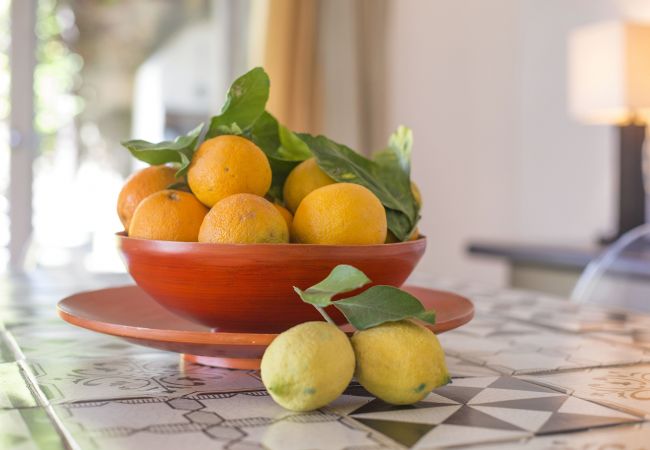 Villa in Sant´Agata sui Due Golfi - AMORE RENTALS - Villa Il Noce with Private Pool, SPA, Garden, BBQ and Parking Villa in Sant´Agata sui Due Golfi - AMORE RENTALS - Villa Il Noce with Private Pool, SPA, Garden, BBQ and Parking