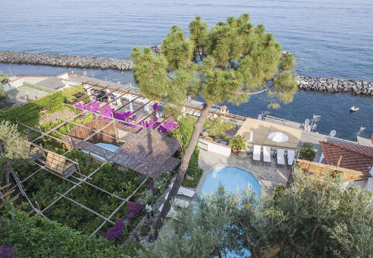 Villa in Massa Lubrense -  AMORE RENTALS - Villa Acquamarina with Private Pool, Sea View, Direct Sea Access and Parking