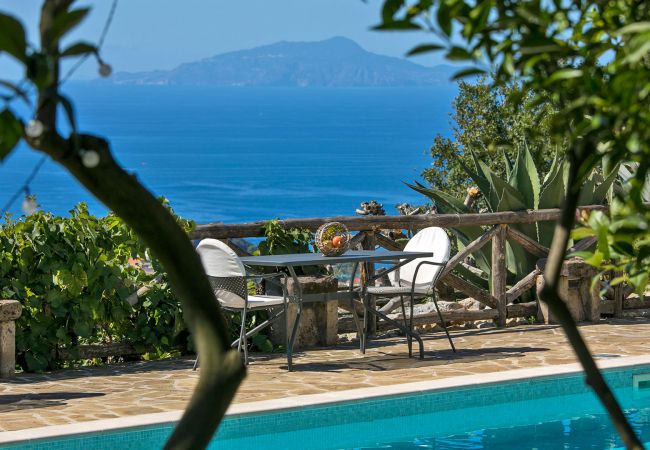 Villa in Sant´Agata sui Due Golfi - AMORE RENTALS - Villa Amiela with Private Pool, Sea View, Garden, Terrace and Parking Villa in Sant´Agata sui Due Golfi - AMORE RENTALS - Villa Amiela with Private Pool, Sea View, Garden, Terrace and Parking