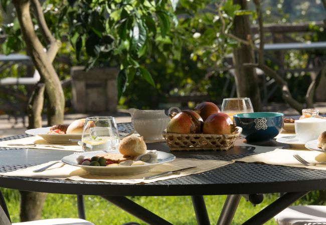 Villa in Sant´Agata sui Due Golfi - AMORE RENTALS - Villa Amiela with Private Pool, Sea View, Garden, Terrace and Parking Villa in Sant´Agata sui Due Golfi - AMORE RENTALS - Villa Amiela with Private Pool, Sea View, Garden, Terrace and Parking