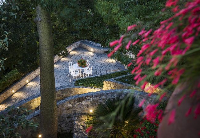 Villa in Capri - AMORE RENTALS - Villa Afrodite with Sea View, Piscina, Garden and Parking near the Sea Villa in Capri - AMORE RENTALS - Villa Afrodite with Sea View, Piscina, Garden and Parking near the Sea