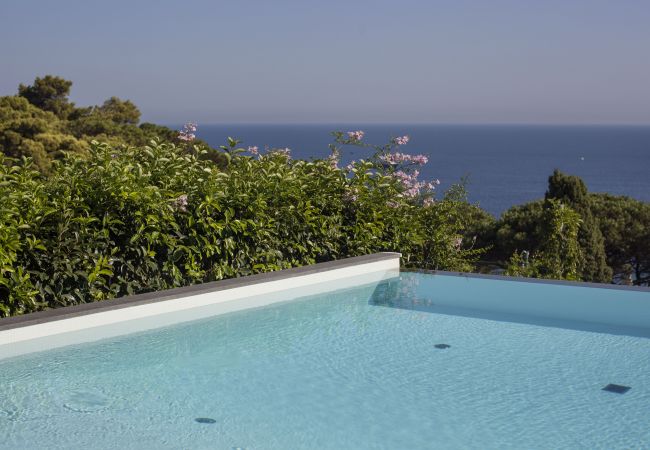 Villa in Capri - AMORE RENTALS - Villa Afrodite with Sea View, Piscina, Garden and Parking near the Sea