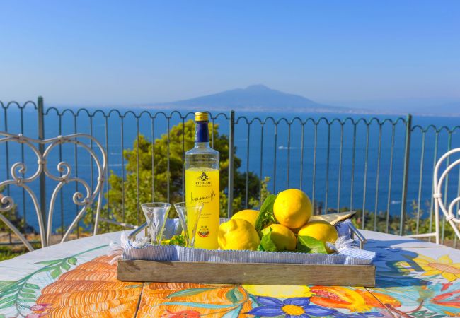 Villa in Sorrento - AMORE RENTALS -Villa Giada with Swimming Pool, Garden, Sea View and Parking Villa in Sorrento - AMORE RENTALS -Villa Giada with Swimming Pool, Garden, Sea View and Parking