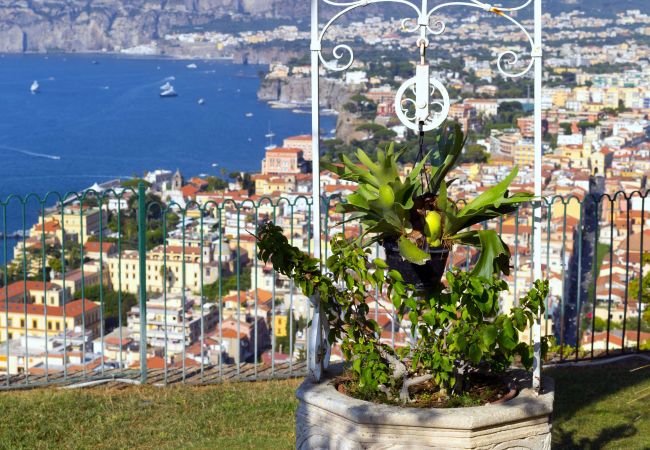 Villa in Sorrento - AMORE RENTALS -Villa Giada with Swimming Pool, Garden, Sea View and Parking Villa in Sorrento - AMORE RENTALS -Villa Giada with Swimming Pool, Garden, Sea View and Parking