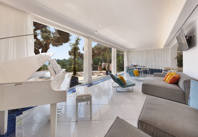 Villa in Nerano - AMORE RENTALS -Villa Giove with Private Swimming Pool, Sea View, Jacuzzi and Breakfast, Near the Sea Villa in Nerano - AMORE RENTALS -Villa Giove with Private Swimming Pool, Sea View, Jacuzzi and Breakfast, Near the Sea