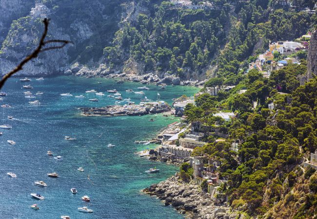 Villa in Capri - AMORE RENTALS - Villa Polifemo with Swimming Pool, Sea View, Terrace and Garden Villa in Capri - AMORE RENTALS - Villa Polifemo with Swimming Pool, Sea View, Terrace and Garden