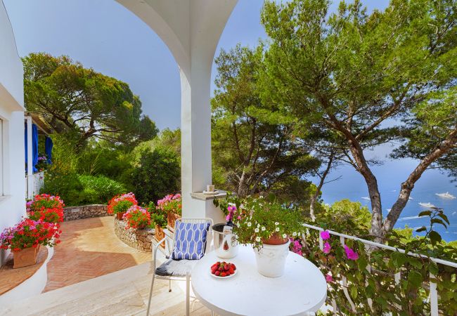 Villa in Capri - AMORE RENTALS - Villa Polifemo with Swimming Pool, Sea View, Terrace and Garden