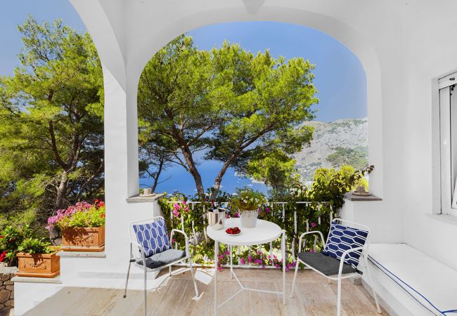 Villa in Capri - AMORE RENTALS - Villa Polifemo with Swimming Pool, Sea View, Terrace and Garden