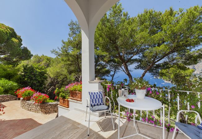 Villa in Capri - AMORE RENTALS - Villa Polifemo with Swimming Pool, Sea View, Terrace and Garden Villa in Capri - AMORE RENTALS - Villa Polifemo with Swimming Pool, Sea View, Terrace and Garden