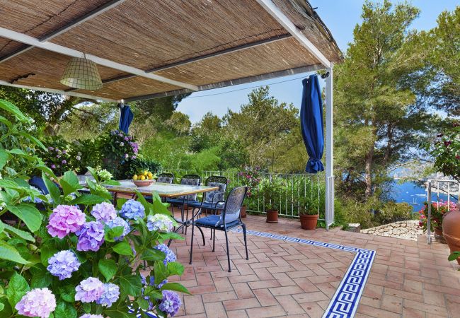 Villa in Capri - AMORE RENTALS - Villa Polifemo with Swimming Pool, Sea View, Terrace and Garden Villa in Capri - AMORE RENTALS - Villa Polifemo with Swimming Pool, Sea View, Terrace and Garden