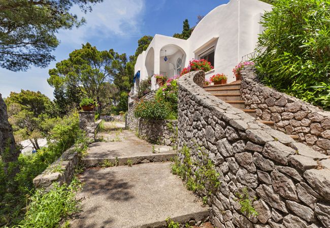 Villa in Capri - AMORE RENTALS - Villa Polifemo with Swimming Pool, Sea View, Terrace and Garden Villa in Capri - AMORE RENTALS - Villa Polifemo with Swimming Pool, Sea View, Terrace and Garden