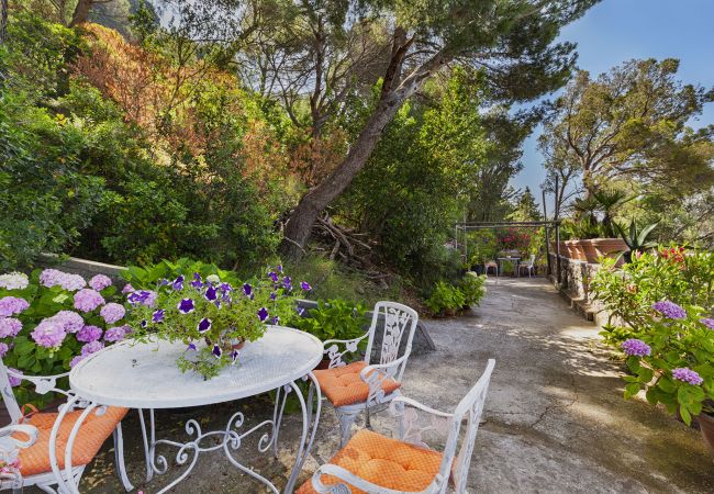 Villa in Capri - AMORE RENTALS - Villa Polifemo with Swimming Pool, Sea View, Terrace and Garden