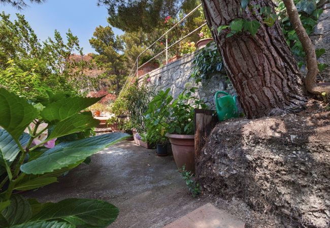 Villa in Capri - AMORE RENTALS - Villa Polifemo with Swimming Pool, Sea View, Terrace and Garden Villa in Capri - AMORE RENTALS - Villa Polifemo with Swimming Pool, Sea View, Terrace and Garden