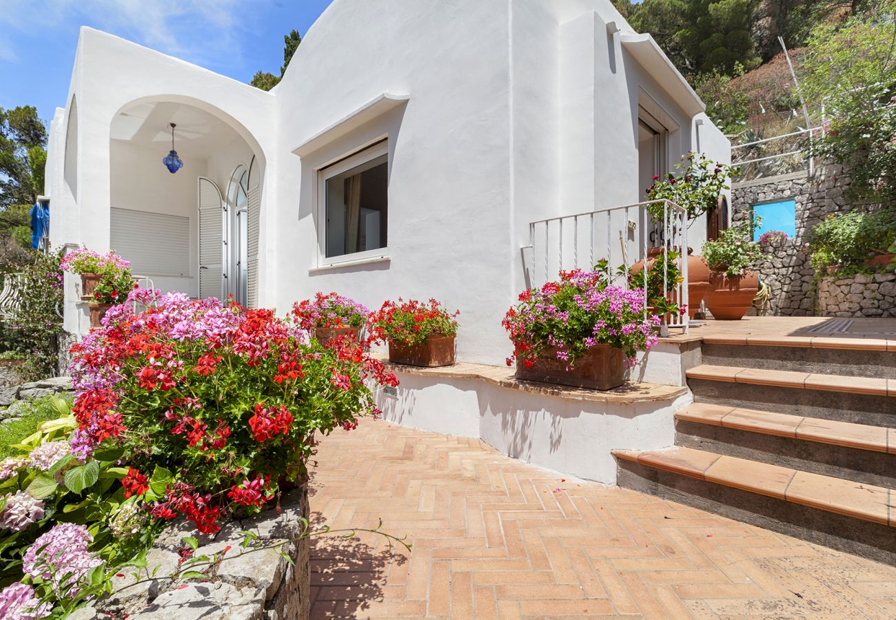 Villa in Capri - AMORE RENTALS - Villa Polifemo with Swimming Pool, Sea View, Terrace and Garden