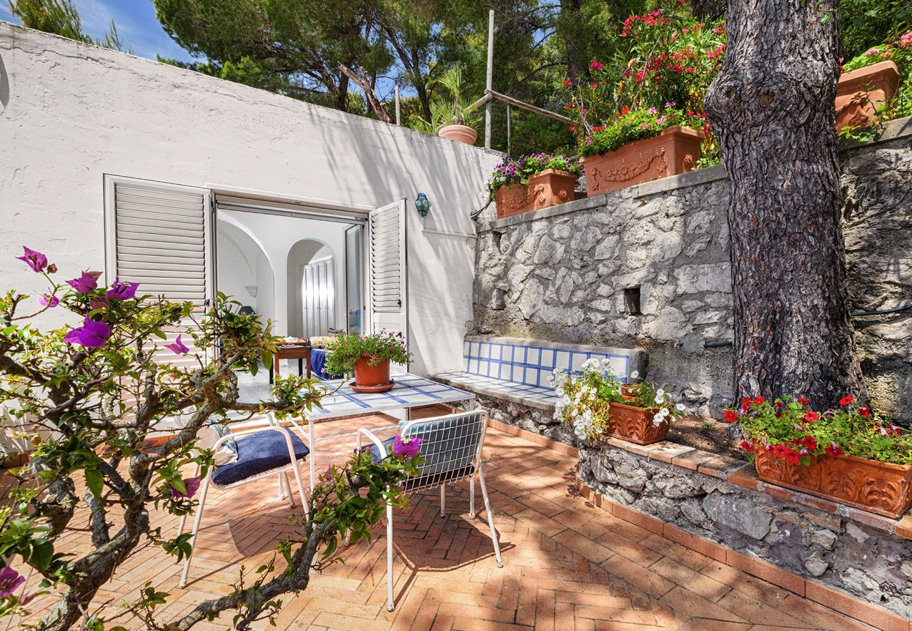 Villa in Capri - AMORE RENTALS - Villa Polifemo with Swimming Pool, Sea View, Terrace and Garden