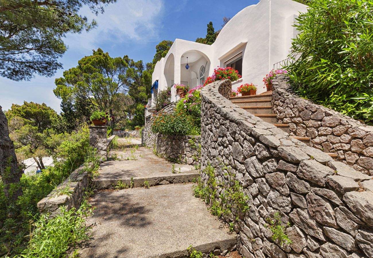 Villa in Capri - AMORE RENTALS - Villa Polifemo with Swimming Pool, Sea View, Terrace and Garden