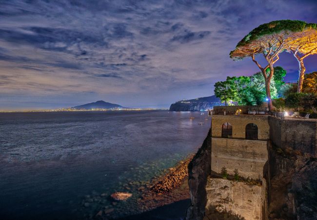 Villa in Sorrento - AMORE RENTALS -Villa Galidia with Jacuzzi, Sea View, Garden and Air Conditioning Villa in Sorrento - AMORE RENTALS -Villa Galidia with Jacuzzi, Sea View, Garden and Air Conditioning