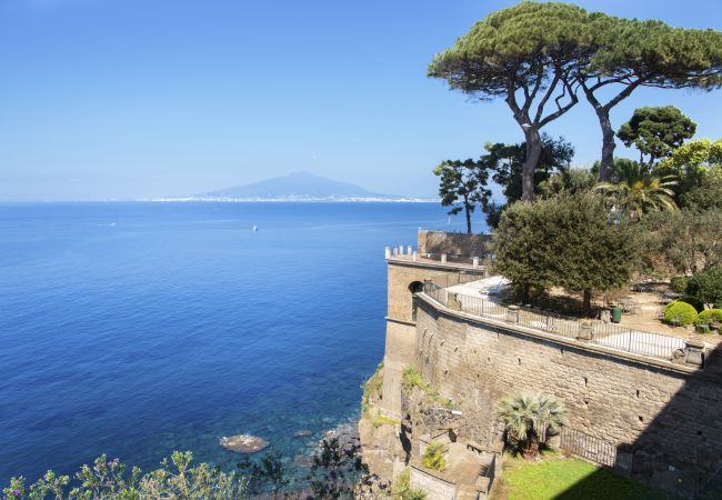 Villa in Sorrento - AMORE RENTALS -Villa Galidia with Jacuzzi, Sea View, Garden and Air Conditioning Villa in Sorrento - AMORE RENTALS -Villa Galidia with Jacuzzi, Sea View, Garden and Air Conditioning