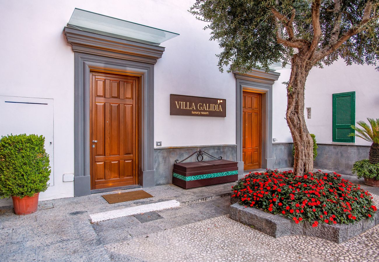 Villa in Sorrento - AMORE RENTALS -Villa Galidia with Jacuzzi, Sea View, Garden and Air Conditioning