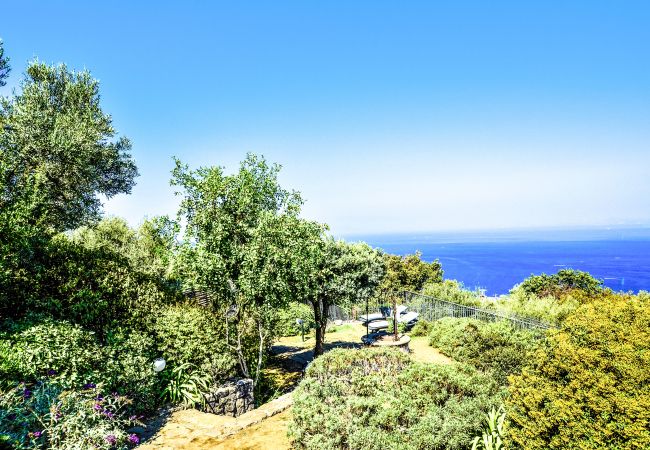 House in Sorrento - AMORE RENTALS - Casa La Giuggiola with Private Pool, Sea View, Garden and Parking