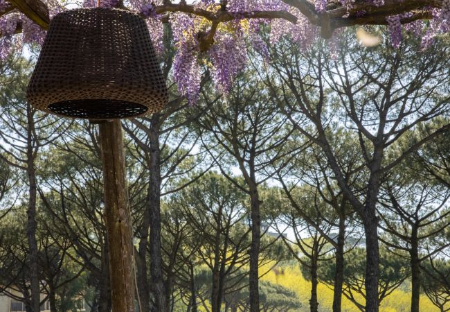 Villa in Sant´Agata sui Due Golfi - AMORE RENTALS - Villa Jasmine with Private Pool Ideal for Weddings Villa in Sant´Agata sui Due Golfi - AMORE RENTALS - Villa Jasmine with Private Pool Ideal for Weddings