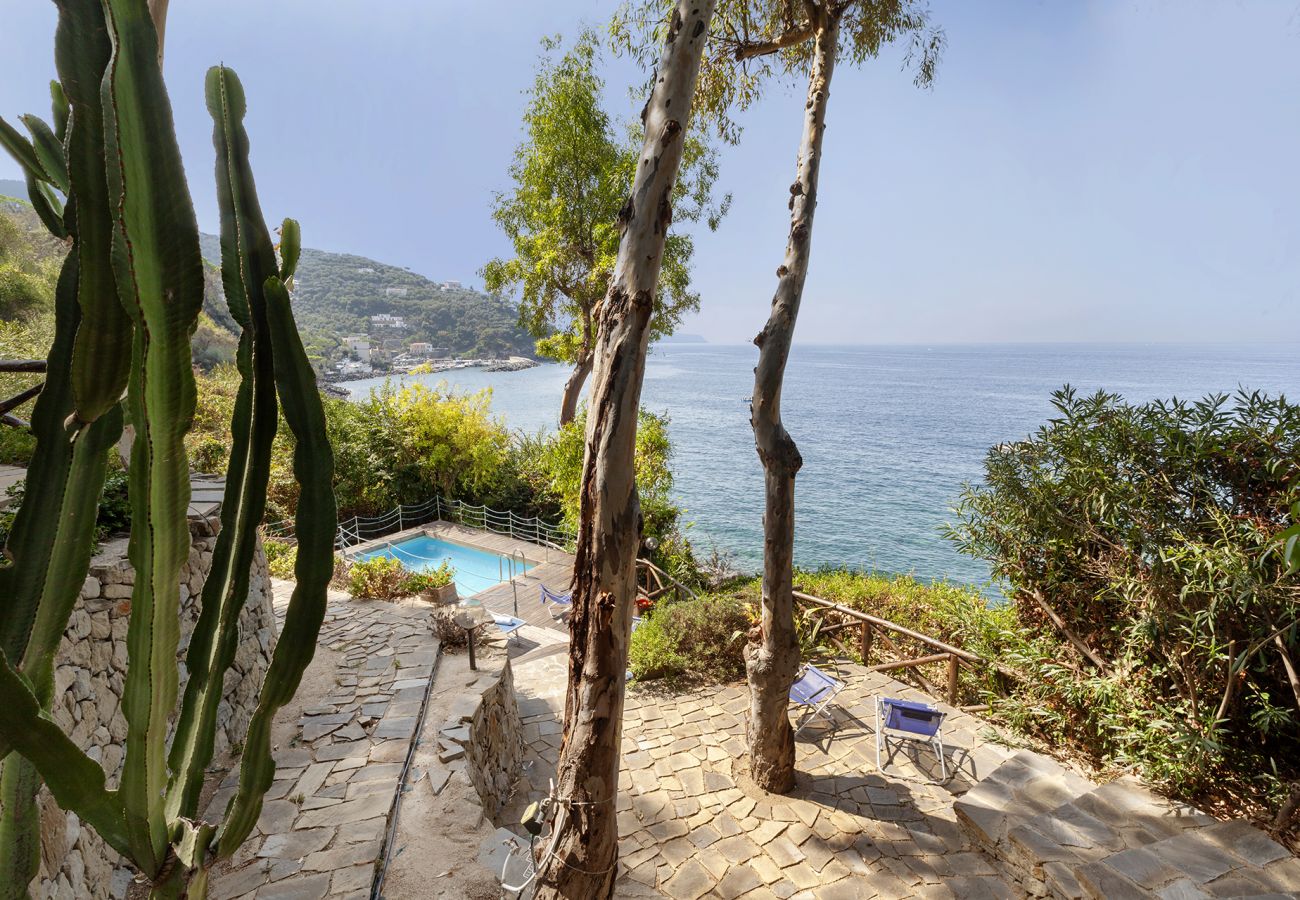 Villa in Massa Lubrense - AMORE RENTALS - Villa Ofelia with Private Pool, Garden and Direct Access to the Sea