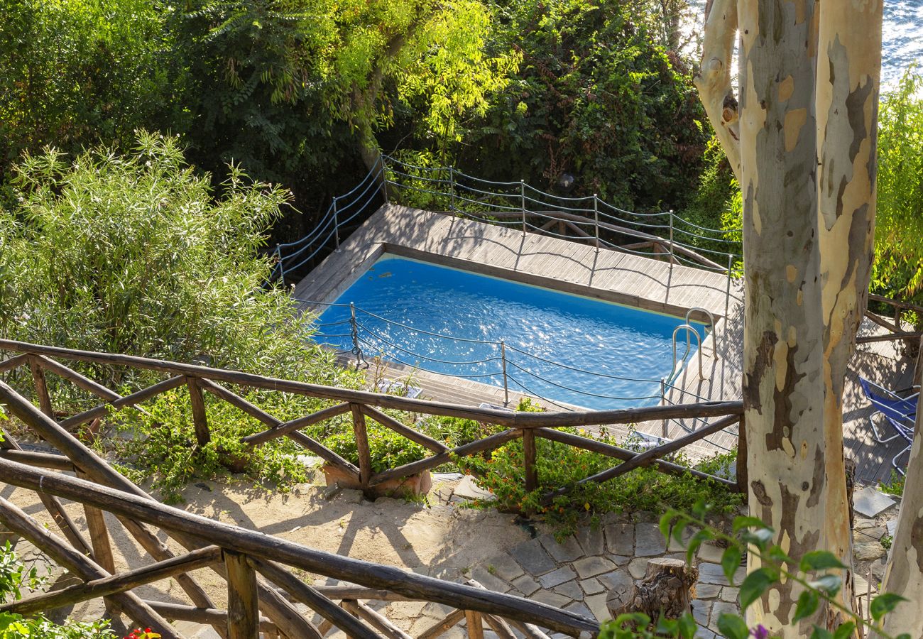 Villa in Massa Lubrense - AMORE RENTALS - Villa Ofelia with Private Pool, Garden and Direct Access to the Sea