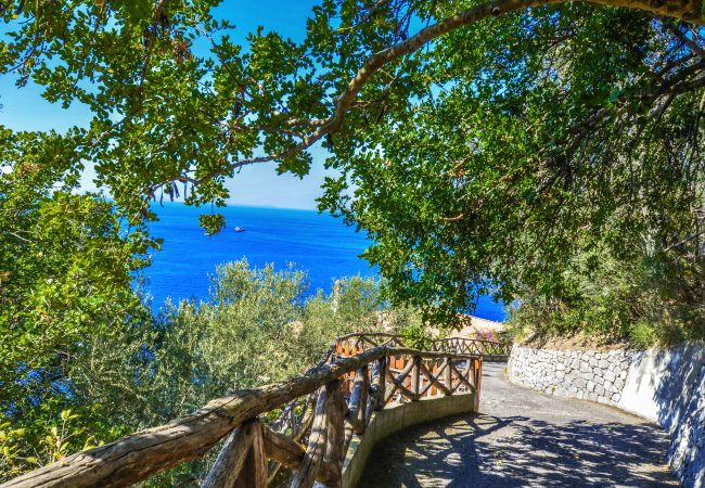 Villa in Massa Lubrense - AMORE RENTALS - Villa Terri with Sea View, Private Pool, Direct Sea Access and Parking Villa in Massa Lubrense - AMORE RENTALS - Villa Terri with Sea View, Private Pool, Direct Sea Access and Parking