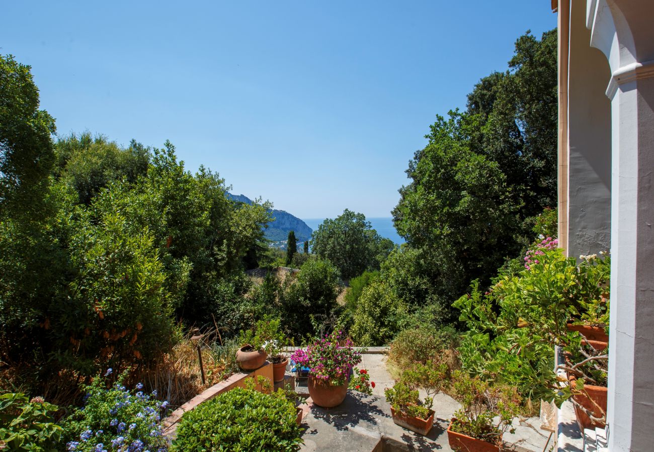 Villa in Capri - AMORE RENTALS - Casa Eliana, Historic Villa with Garden and Terraces in Capri