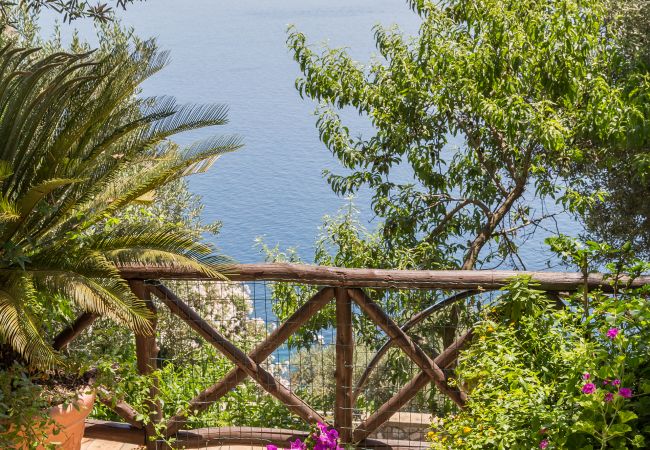 Villa in Positano - AMORE RENTALS -Villa Era with Swimming Pool, Sea View, Terraces and Parking